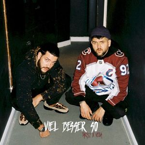 Viel besser so (Single)