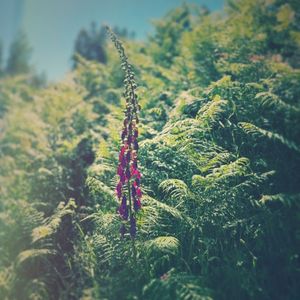 Closer (EP)