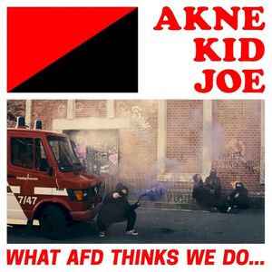 What AfD Thinks We Do... (Single)