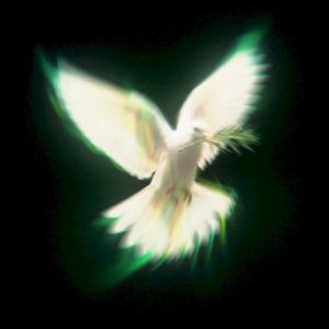 Dada (Single)