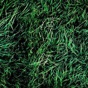 痛い膝 (Single)