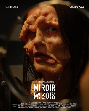 Miroir miroir