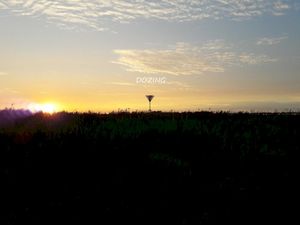 Dozing. (Single)