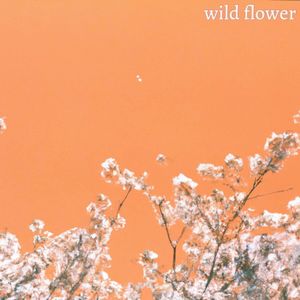 wild flower. (Single)