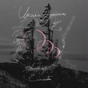 Unseen Dimensions