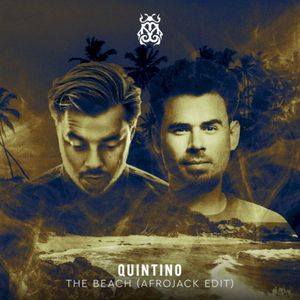 The Beach (Afrojack edit) (Single)