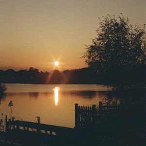 Flova (Single)