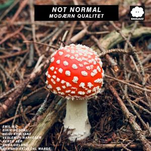 Not Normal – Modærn Qualitet