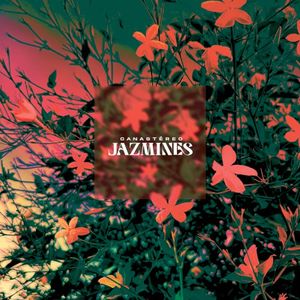 Jazmines