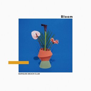 Bloom