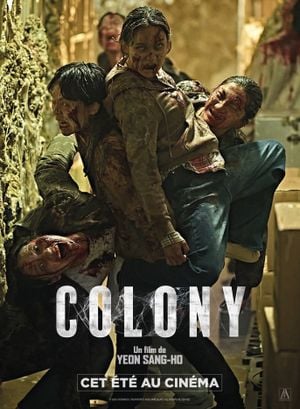 Colony