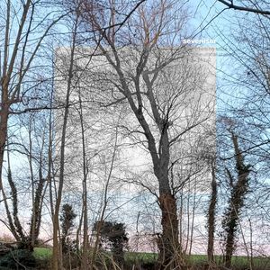 Melting Snow - Neuronal Static