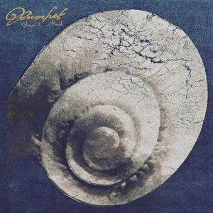 Tractor Beam (Single)
