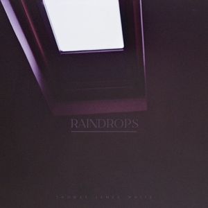 Raindrops (Single)