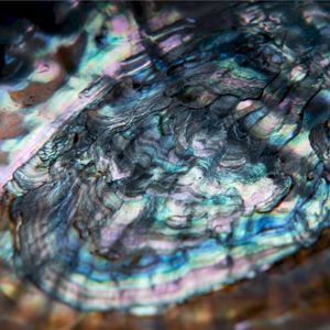 Supernova (Single)