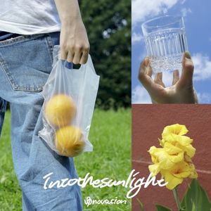 into the sunlight (Single)