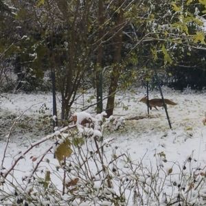 A bas bruit (EP)