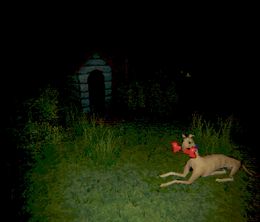 image-https://media.senscritique.com/media/000023663947/0/creature_kitchen.jpg