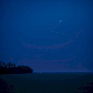 desolate (Single)