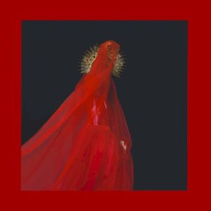 You Cannot Erase Us (Single)