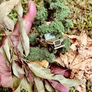 Jeep in the Fall (Single)