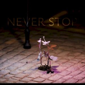 Never Stop (Single)