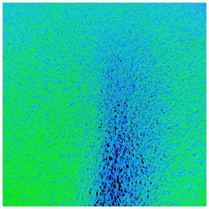 On Distant Waves