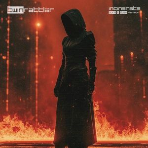 Incinerate (Burn It Down Version) (Single)