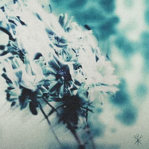 Death of Me (Single)