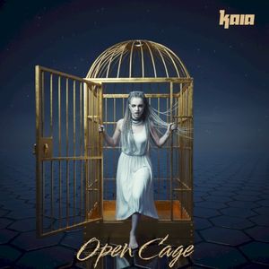 Open Cage (Single)
