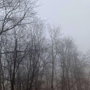 безмолвие (Single)