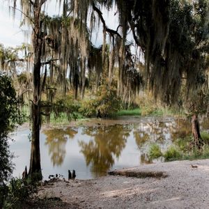 barkley cove (Single)
