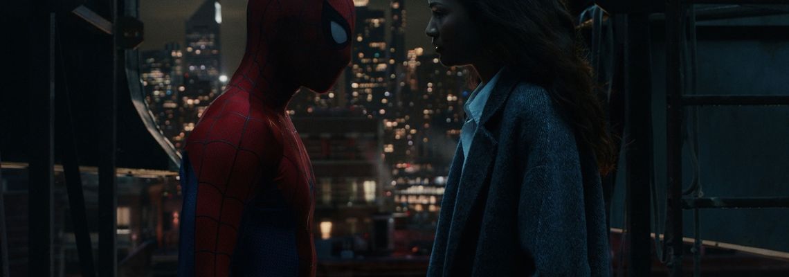 Cover Spider-Man: Brand New Day