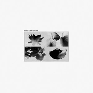 Anonymity Of Grey (EP)