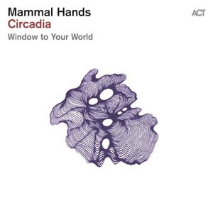 Window to Your World (Single)