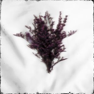 Limerence (EP)