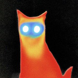 The Way I Feel (Single)