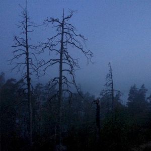 Echoes (Single)