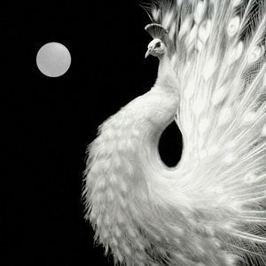 Yin and Yang (Single)