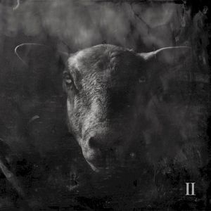 Black Sheep II (Single)