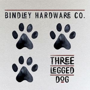 Three-Legged Dog