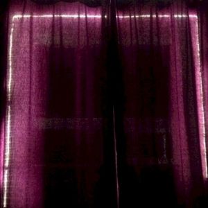 bugchasing (Single)