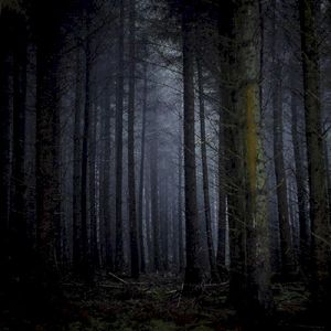 Idèe fixe (Single)