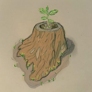 Logging Field (Single)