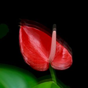 DUB/TECHNO/LIVEREC/20260325 (Single)