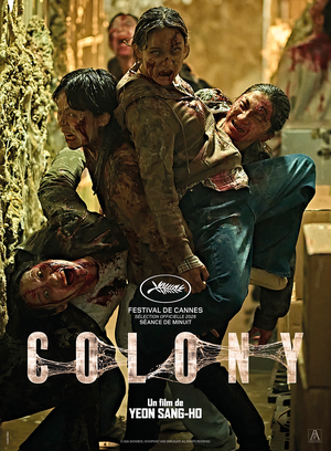 Colony