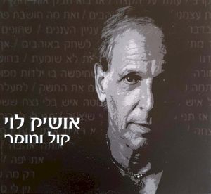 קול וחומר