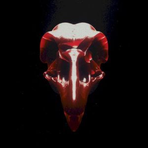 Miracle (alt versions) (Single)