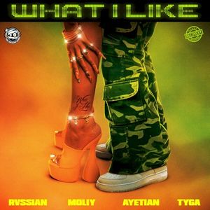 What I Like (Single)