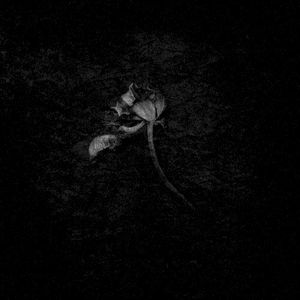 Broken Again (Single)